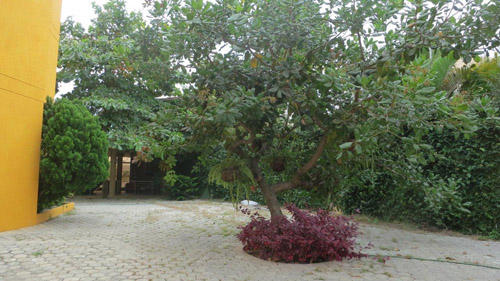 villa tres pisos venta puntablanca